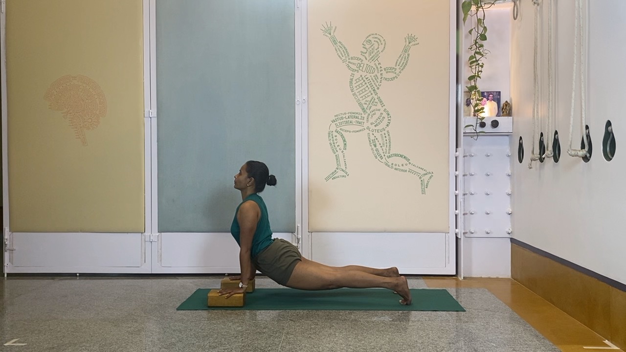 Progressions from Virabhadrasana1 to Twists, Abdominals and Inversions: Parivrtta parsvakonasana, Eka pada setubandha sarvangasana - Image 8