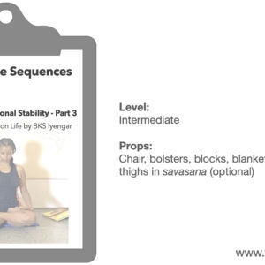 Emotional Stability Practice from Light on Life Pt 3of3