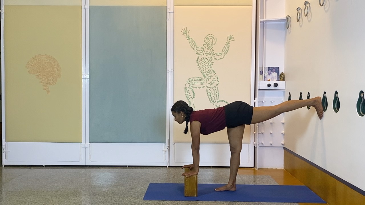 Abdominal Toning in Asanas Part4: A Follow-along Session for Experienced Beginners - Image 8