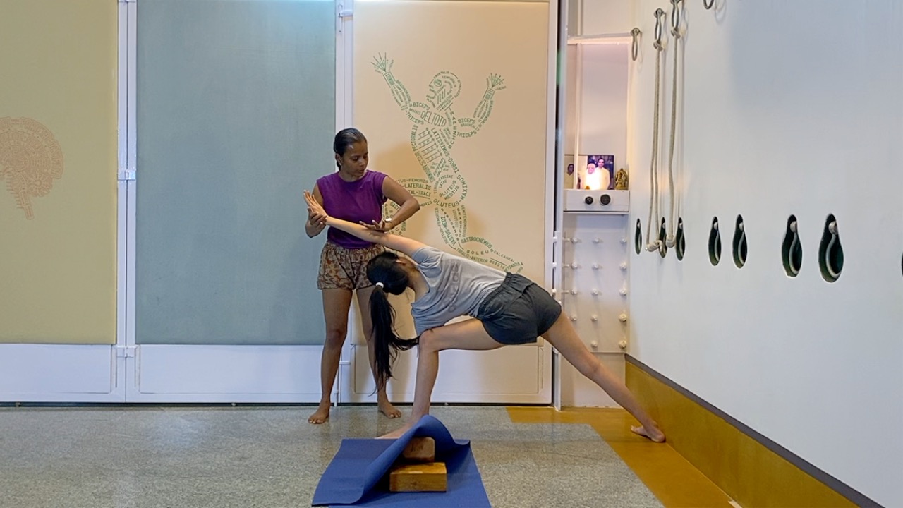 Abdominal Toning in Asanas - 2nd Part for the Experienced Beginner Level - Image 4