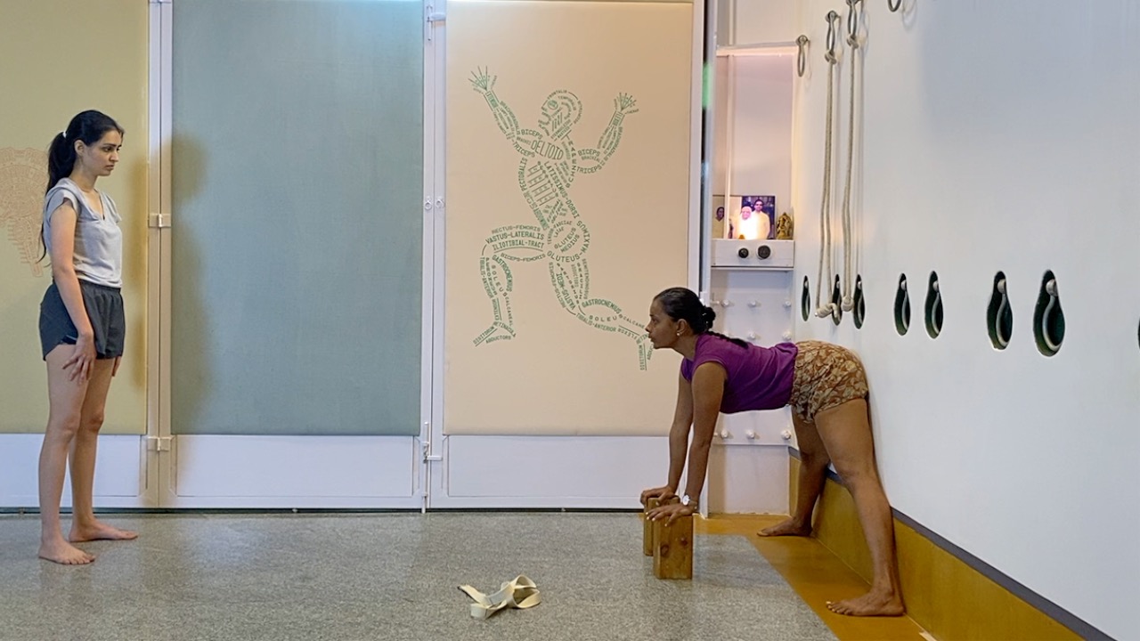 Abdominal Toning in Asanas - 2nd Part for the Experienced Beginner Level - Image 6