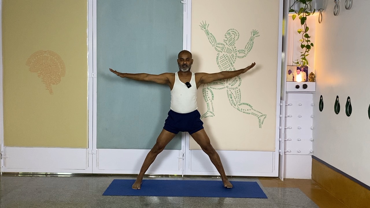 Arms, Elbows and Shoulder Connections: Anantasana, Vasistasana - Image 3