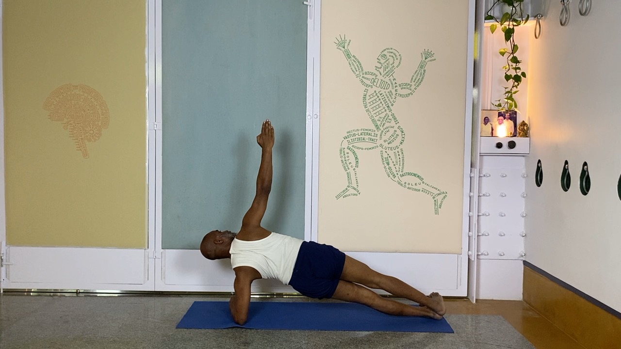 Arms, Elbows and Shoulder Connections: Anantasana, Vasistasana - Image 5