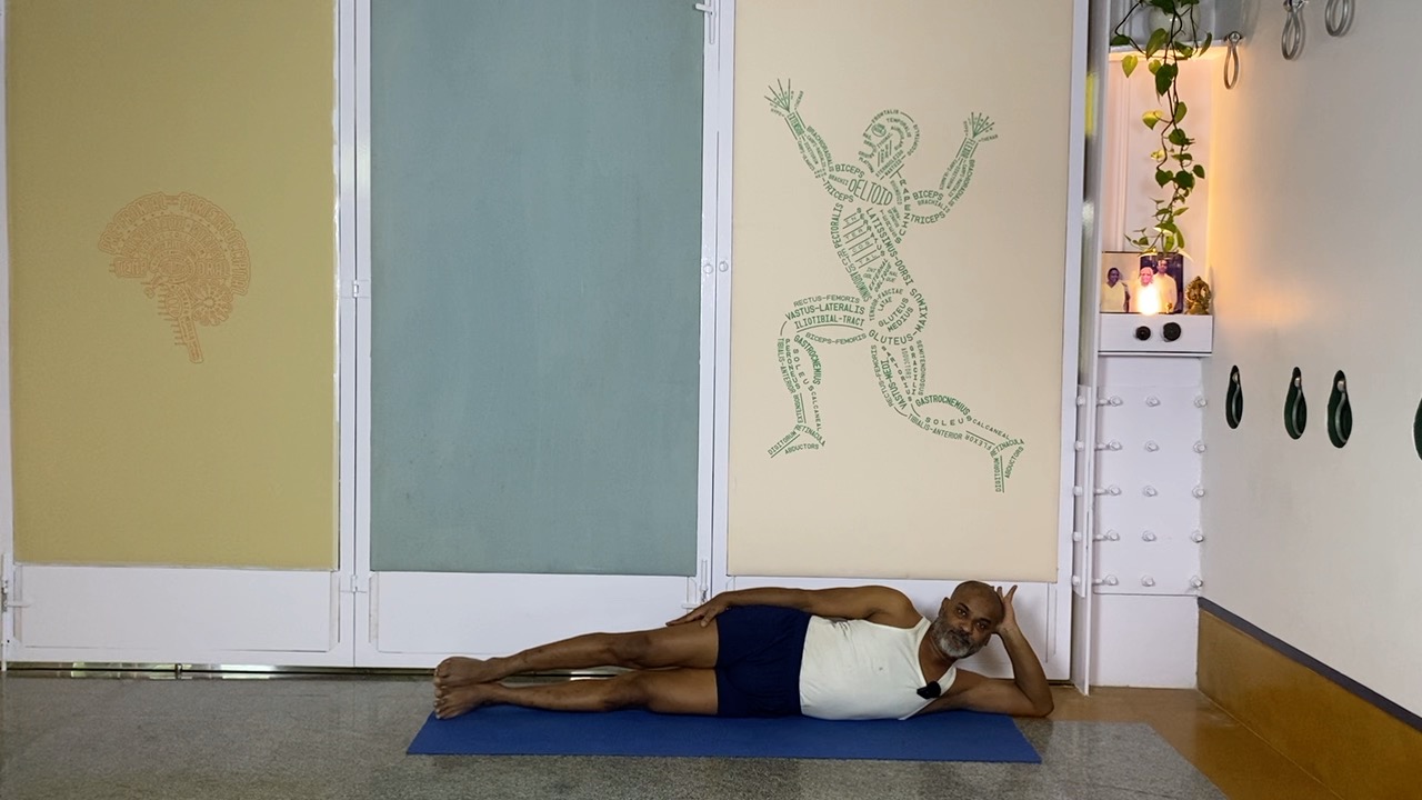 Arms, Elbows and Shoulder Connections: Anantasana, Vasistasana - Image 8