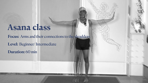 Arms, Elbows and Shoulder Connections: Anantasana, Vasistasana