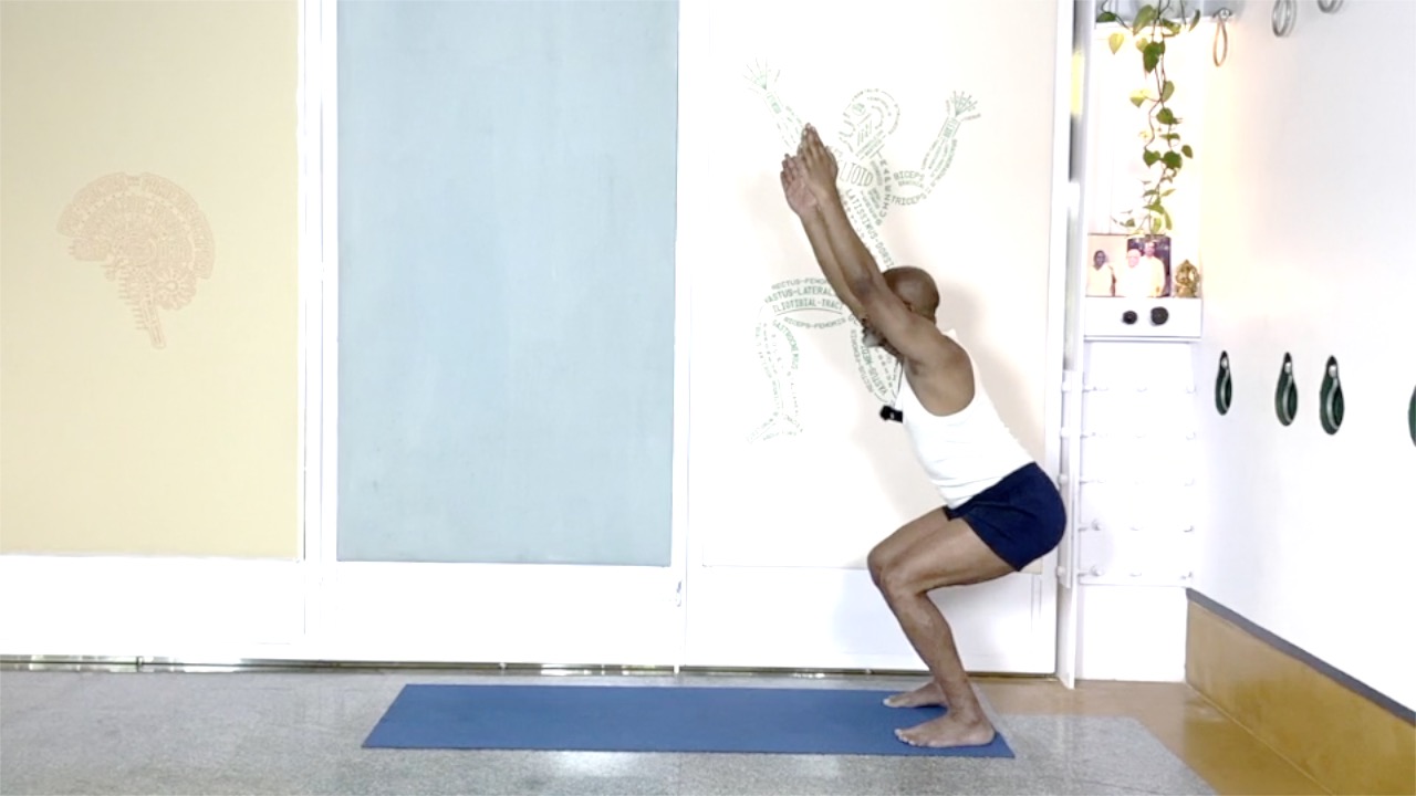 Arms and Shoulder Connections in Anantasana, Vasistasana - Alternatives for a Gentle Approach - Image 4