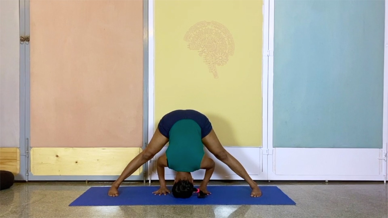 Relief for Wrists and Elbows from Mobile Phones, Laptops and other Electronic Gadget Use (Intermediate Level), Part 2 - Image 11