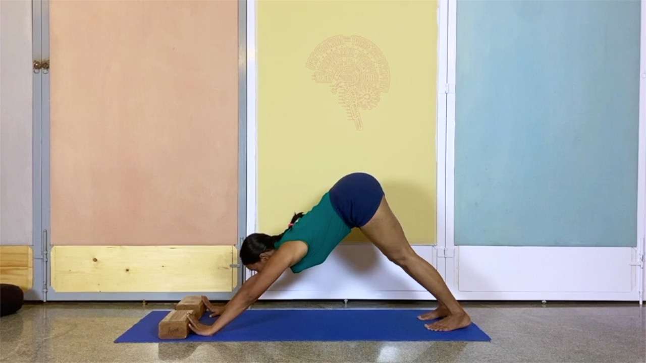 Relief for Wrists and Elbows from Mobile Phones, Laptops and other Electronic Gadget Use (Intermediate Level), Part 2 - Image 9