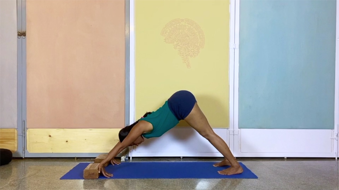 Relief for Wrists and Elbows from Mobile Phones, Laptops and other Electronic Gadget Use (Intermediate Level), Part 2 - Image 10