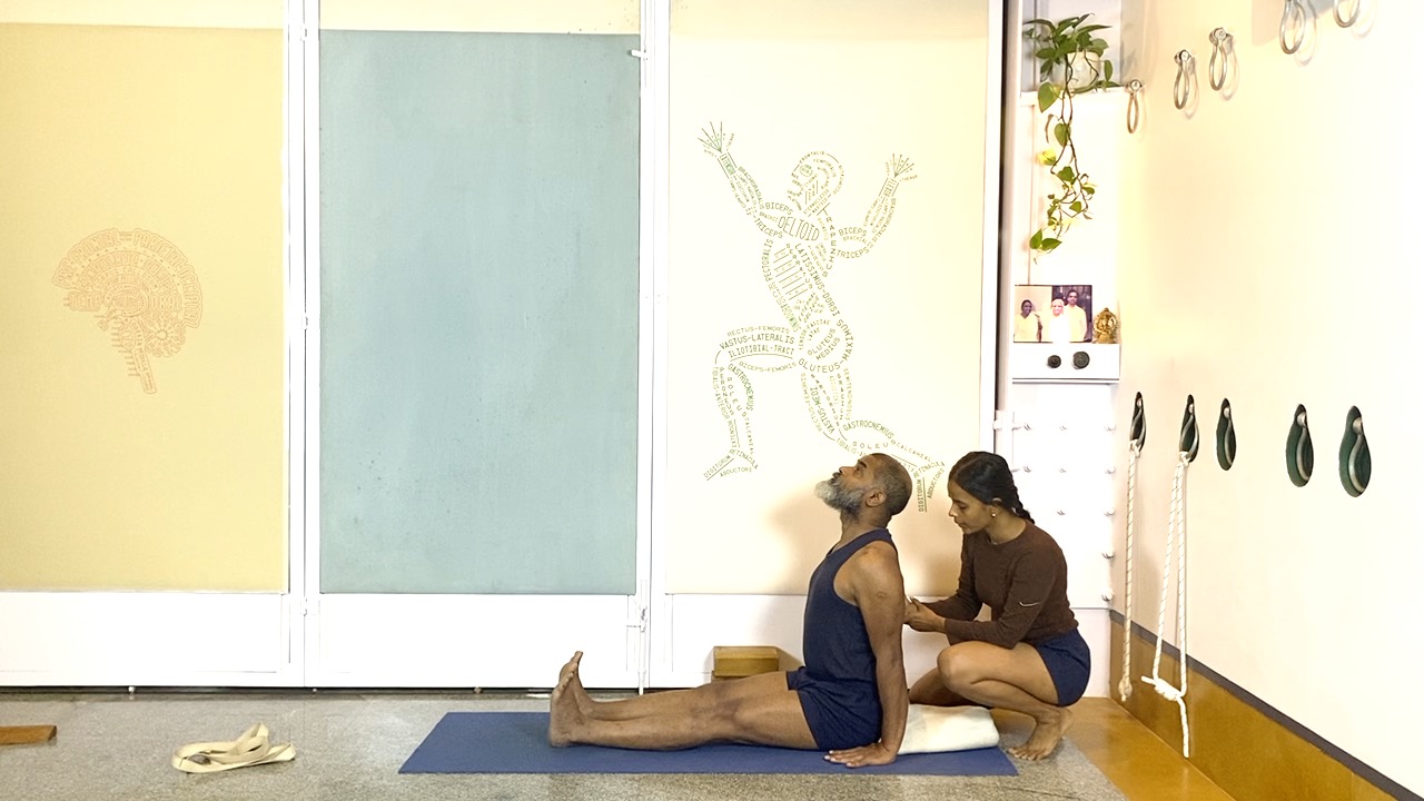 Build Strength and Mobility in Back - Image 2