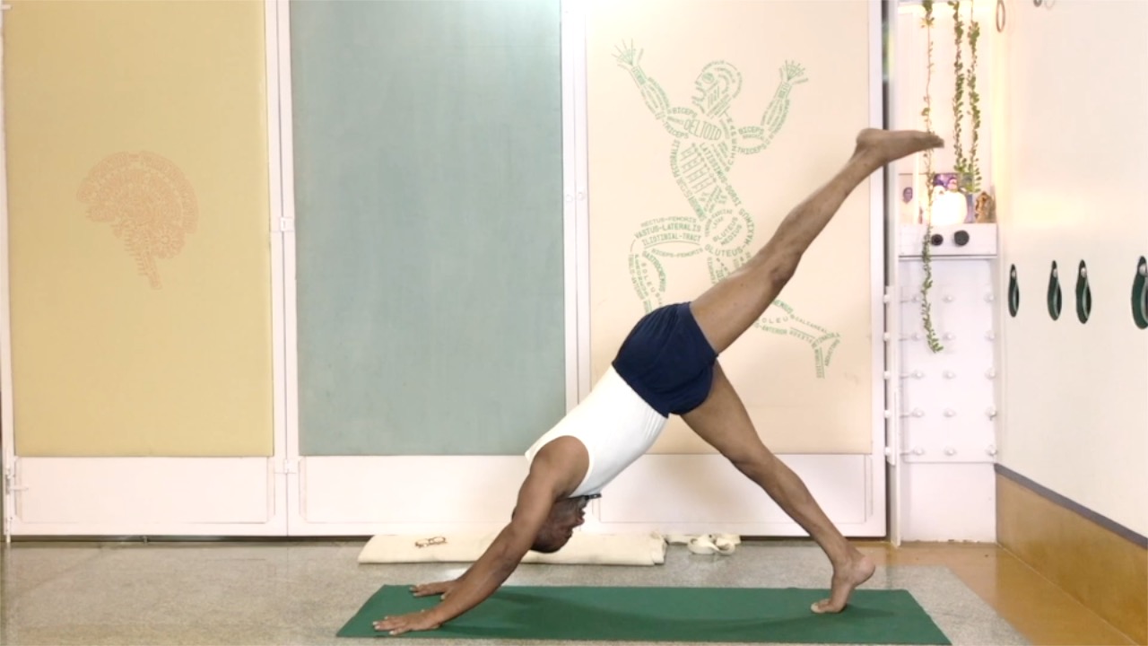 Firm and Mobile Hips: an Overview - Image 2