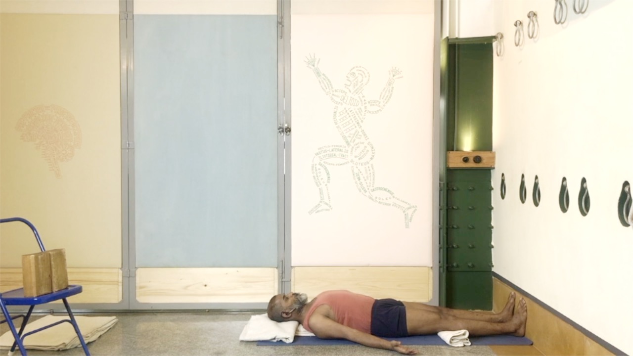 Surya Namaskar: An Adapted Practice Using Supports, Part2 - Image 2