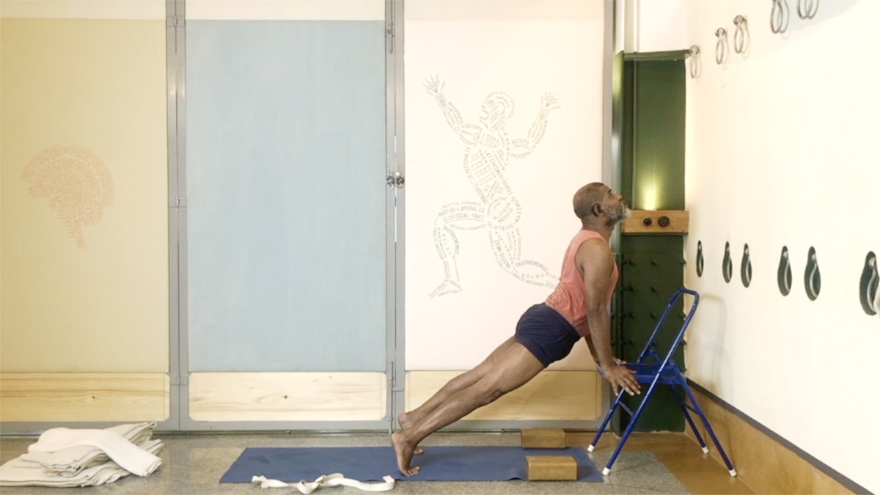 Surya Namaskar: An Adapted Practice Using Supports, Part2 - Image 5