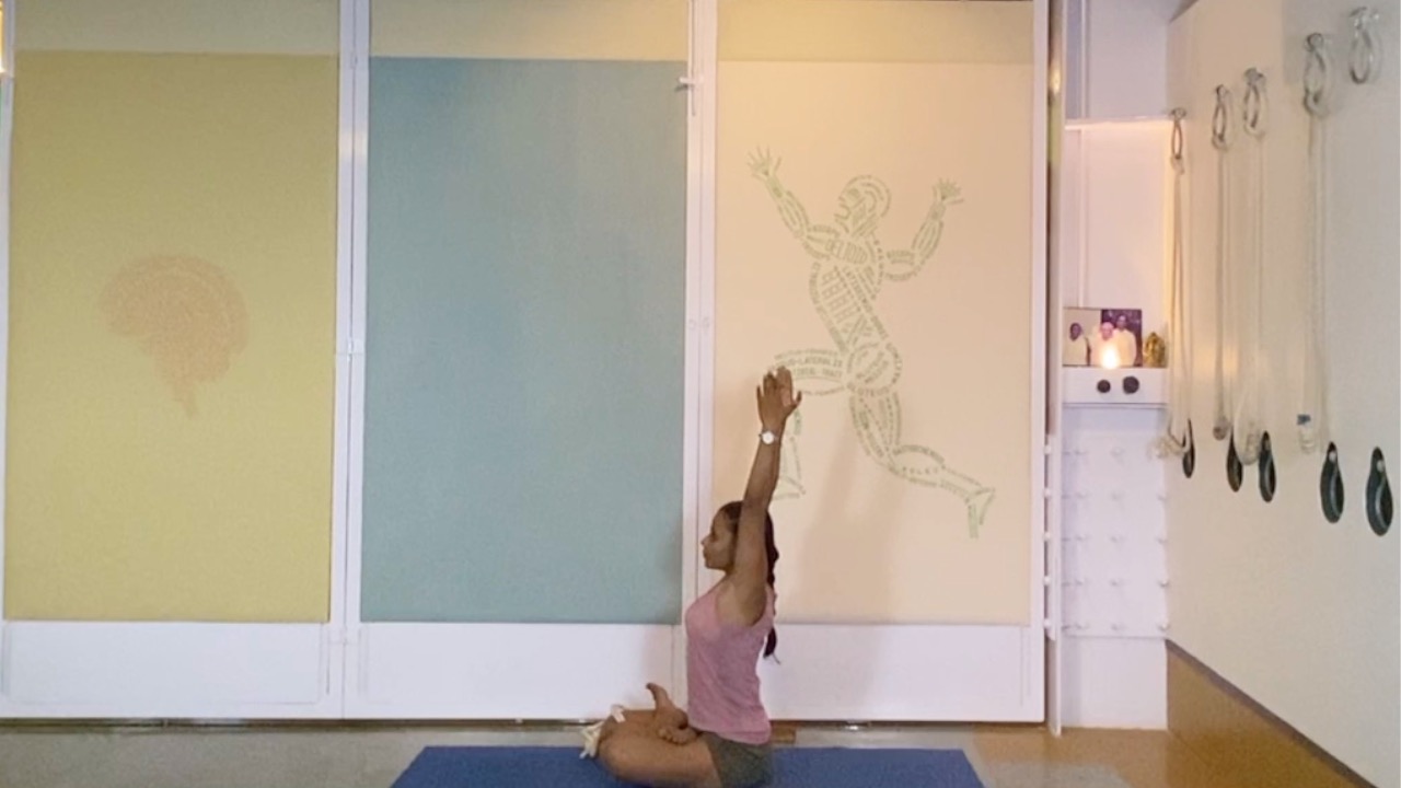 Forward Extensions Overview - from Standing to Seated - Image 2