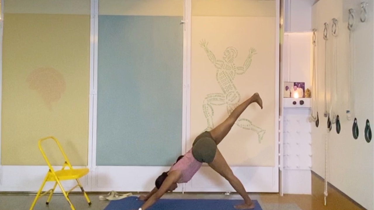 Forward Extensions Overview - from Standing to Seated - Image 8