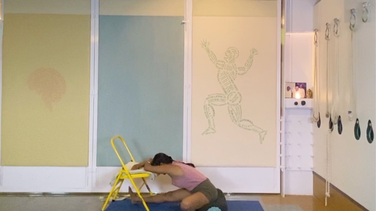 Forward Extensions Overview - from Standing to Seated - Image 10