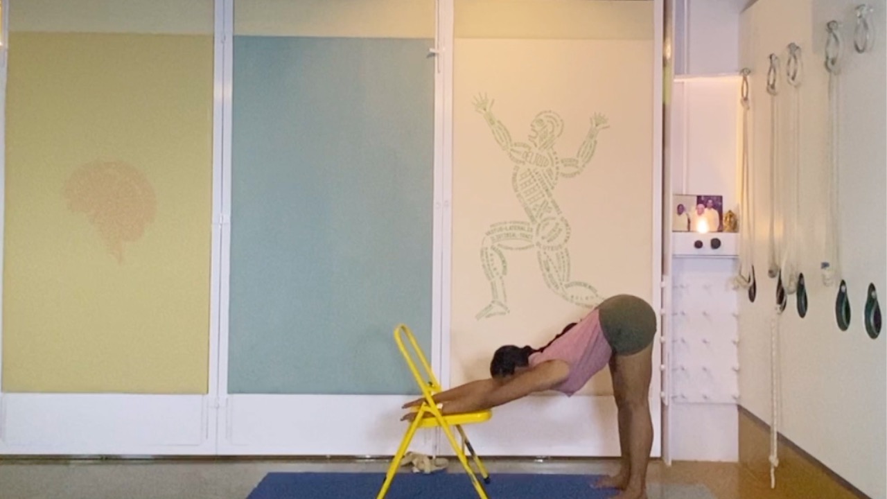 Forward Extensions Overview - from Standing to Seated - Image 5