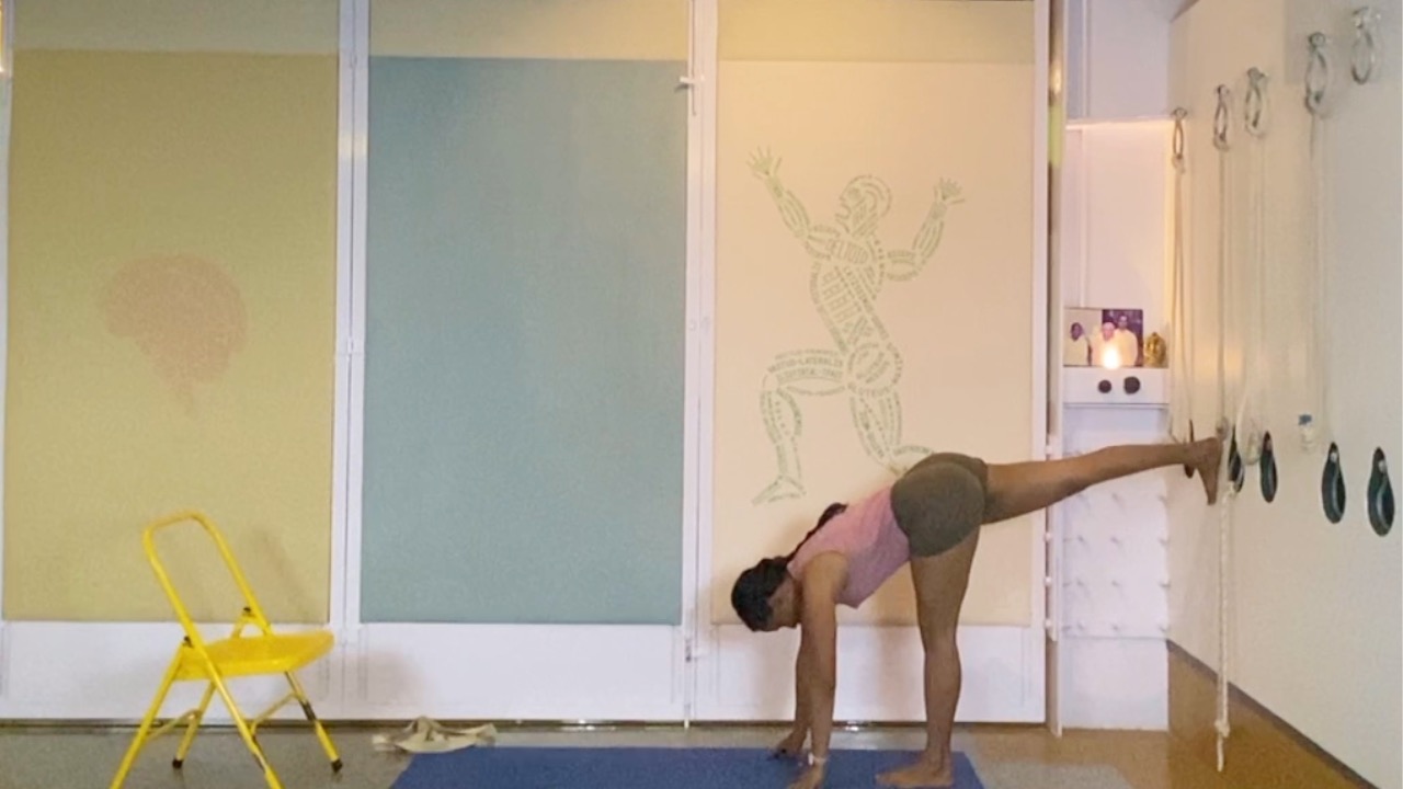 Forward Extensions Overview - from Standing to Seated - Image 7