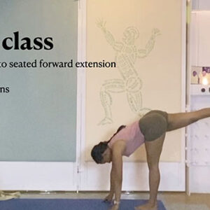 Forward Extensions Overview - from Standing to Seated