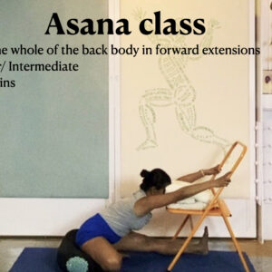 Preparing the whole Body for Effective Seated Forward Extensions (Beginner Level)