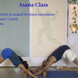 Preparing the whole Body for Effective Seated Forward Extensions (Intermediate Level)