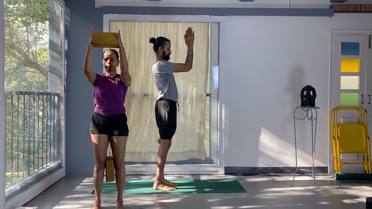 Arm Balancing Short Course (Weekend Intensive) Part 1- Preparing through foundational Asanas - Image 2