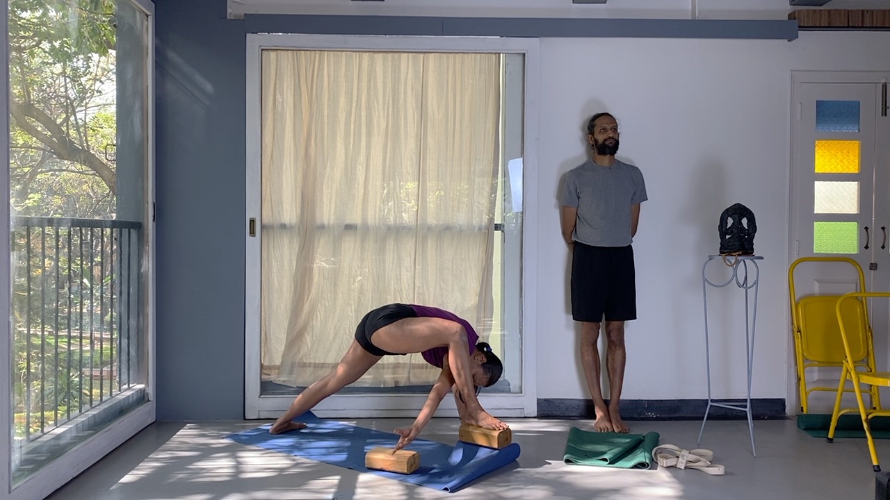 Arm Balancing Short Course (Weekend Intensive) Part 1- Preparing through foundational Asanas - Image 6