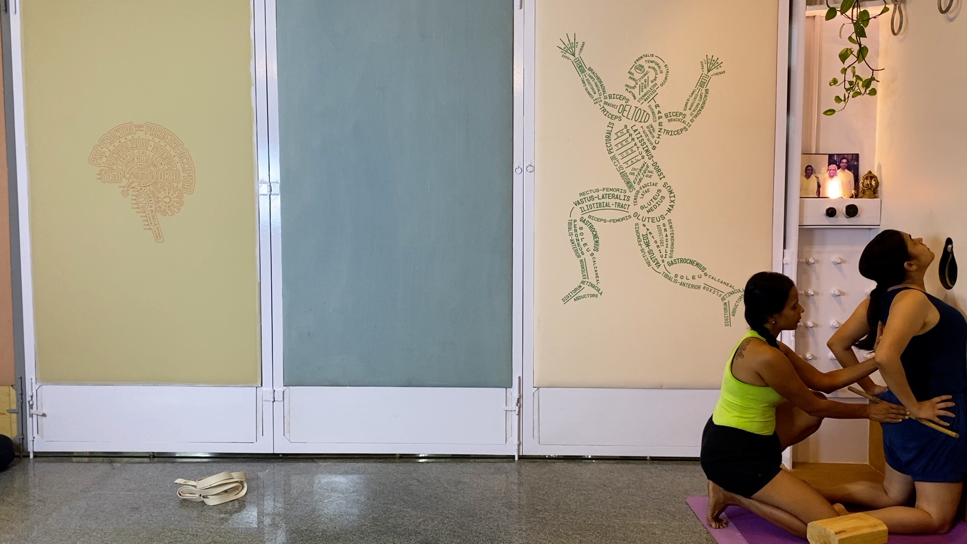 Beginner Level Back Arches: Shalabhasana, Bhekasana, Ustrasana - Image 10