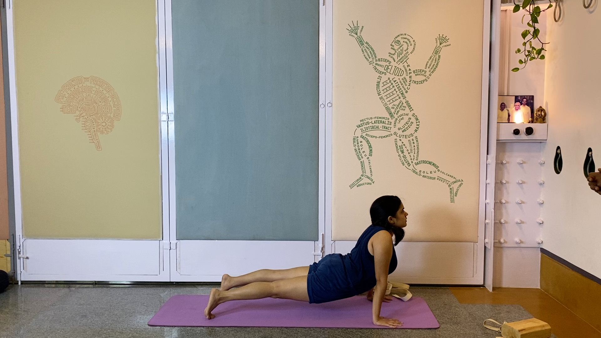Beginner Level Back Arches: Shalabhasana, Bhekasana, Ustrasana - Image 7