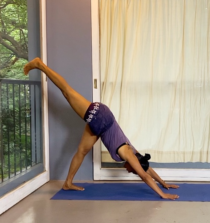 Eka Pada Actions - Mobilising the Two Legs Away from Each Other in Basic Asana Positions - Image 7