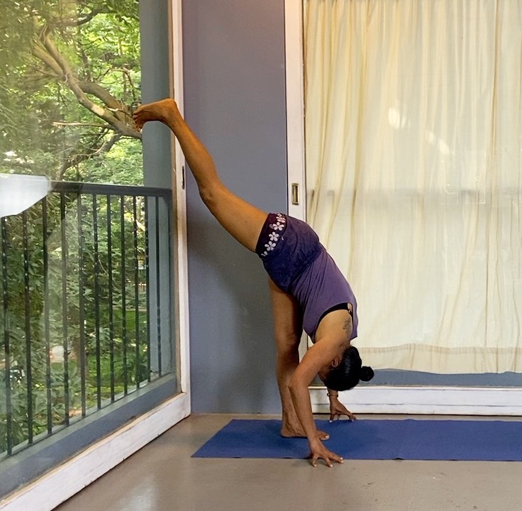 Eka Pada Actions - Mobilising the Two Legs Away from Each Other in Basic Asana Positions - Image 8