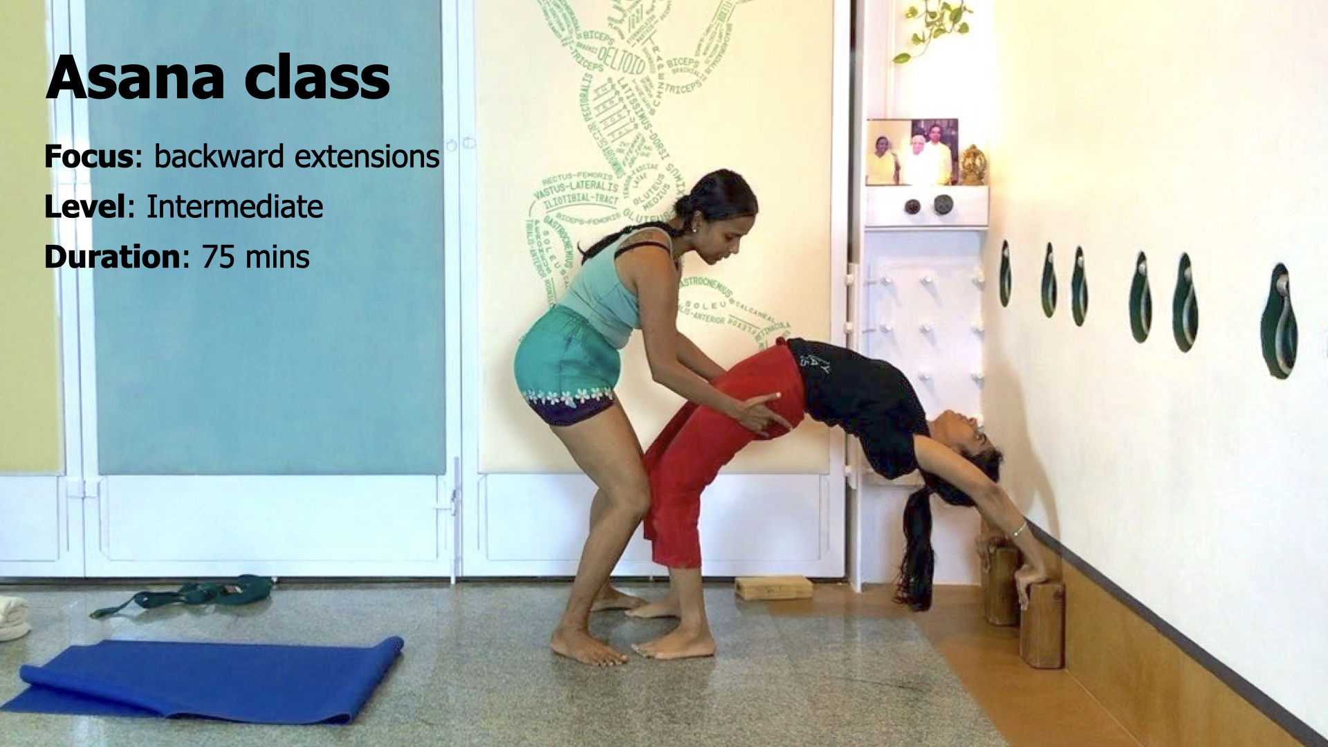 Finding the Internal Resistance in Arching Back - Image 2