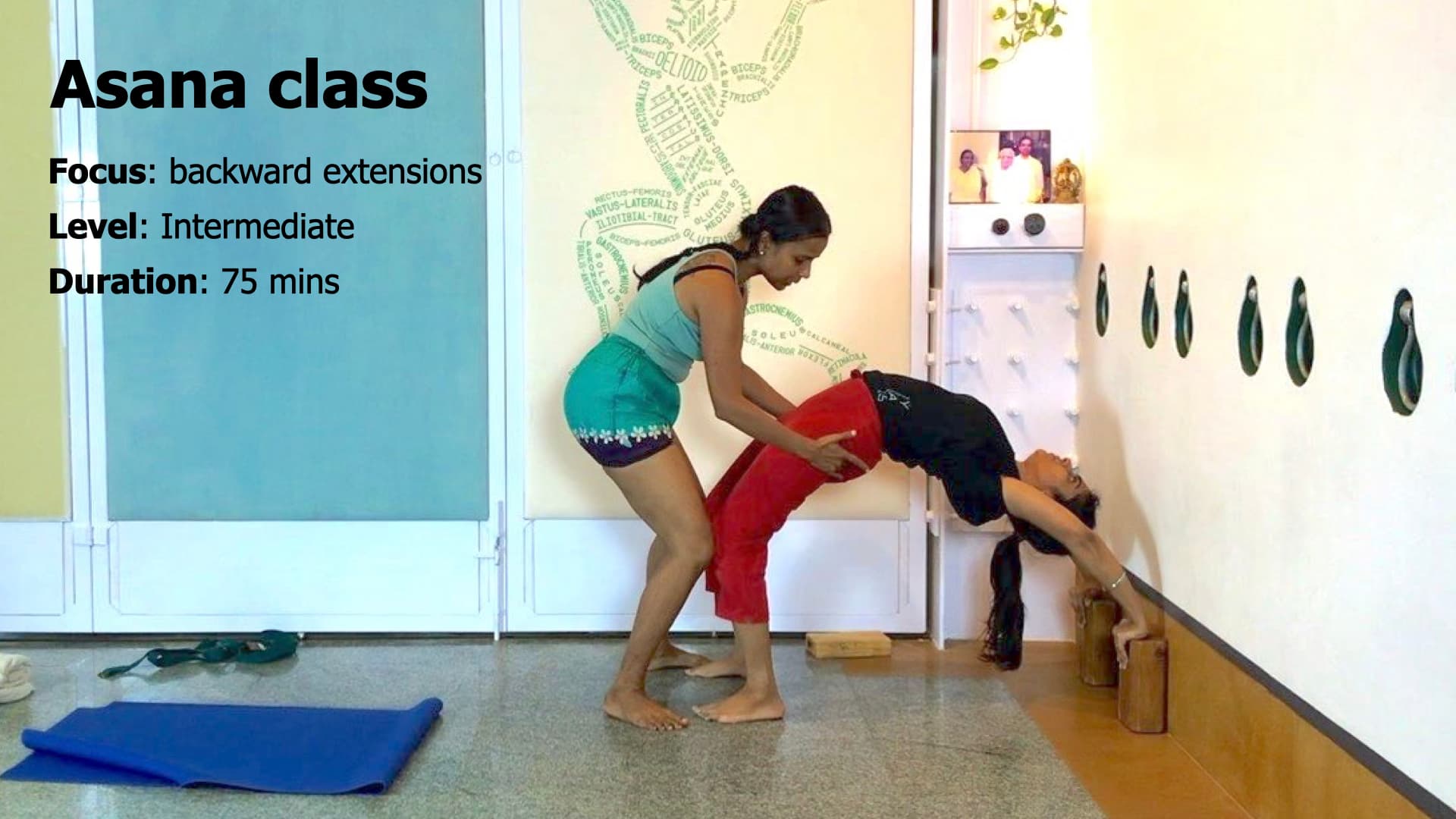 Finding the Internal Resistance in Arching Back