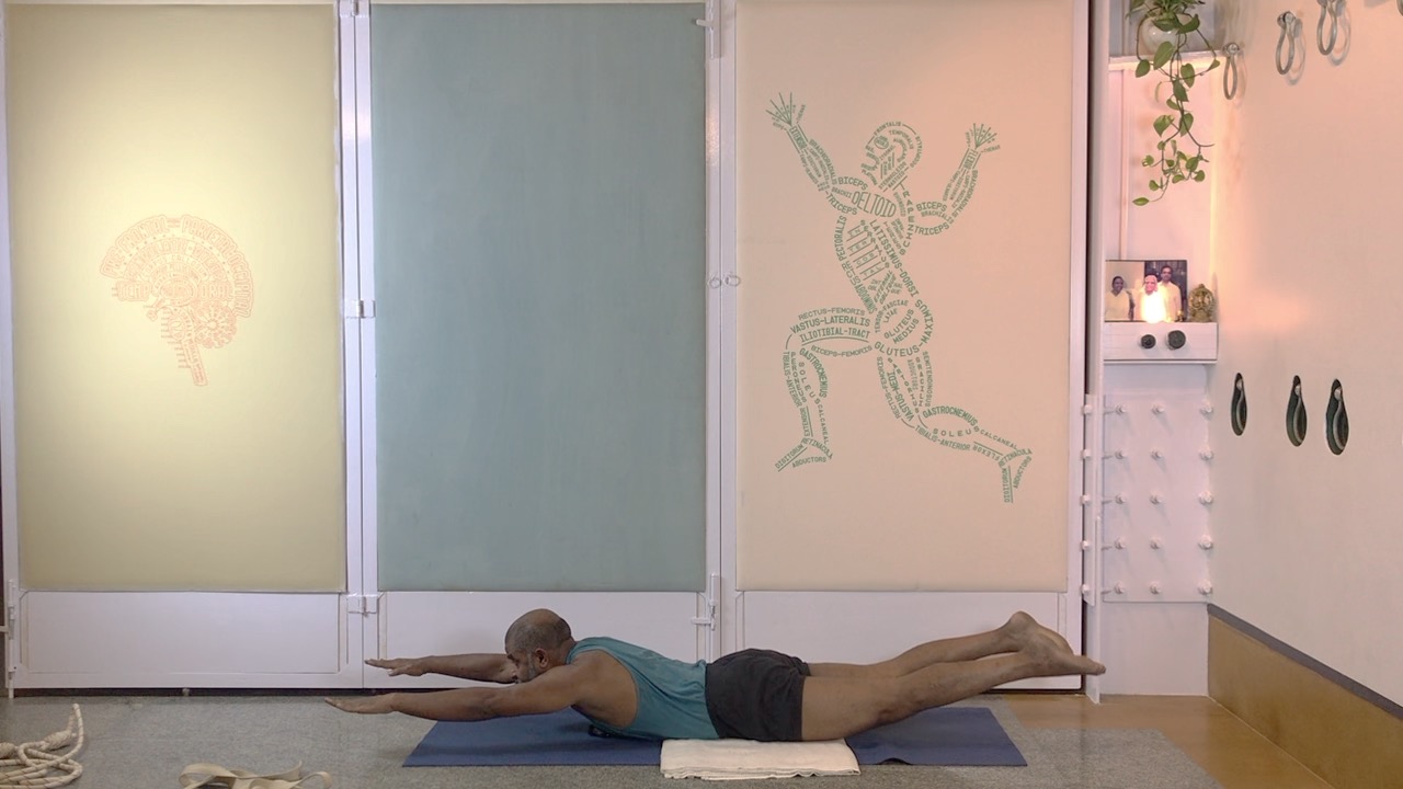 Preparing for a Gentle Back Arches Practice: Hips, Knees, Ankles - Image 6