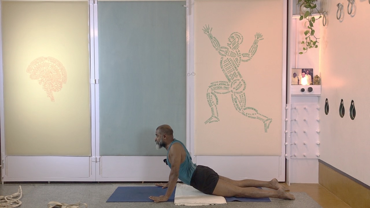 Preparing for a Gentle Back Arches Practice: Hips, Knees, Ankles - Image 7