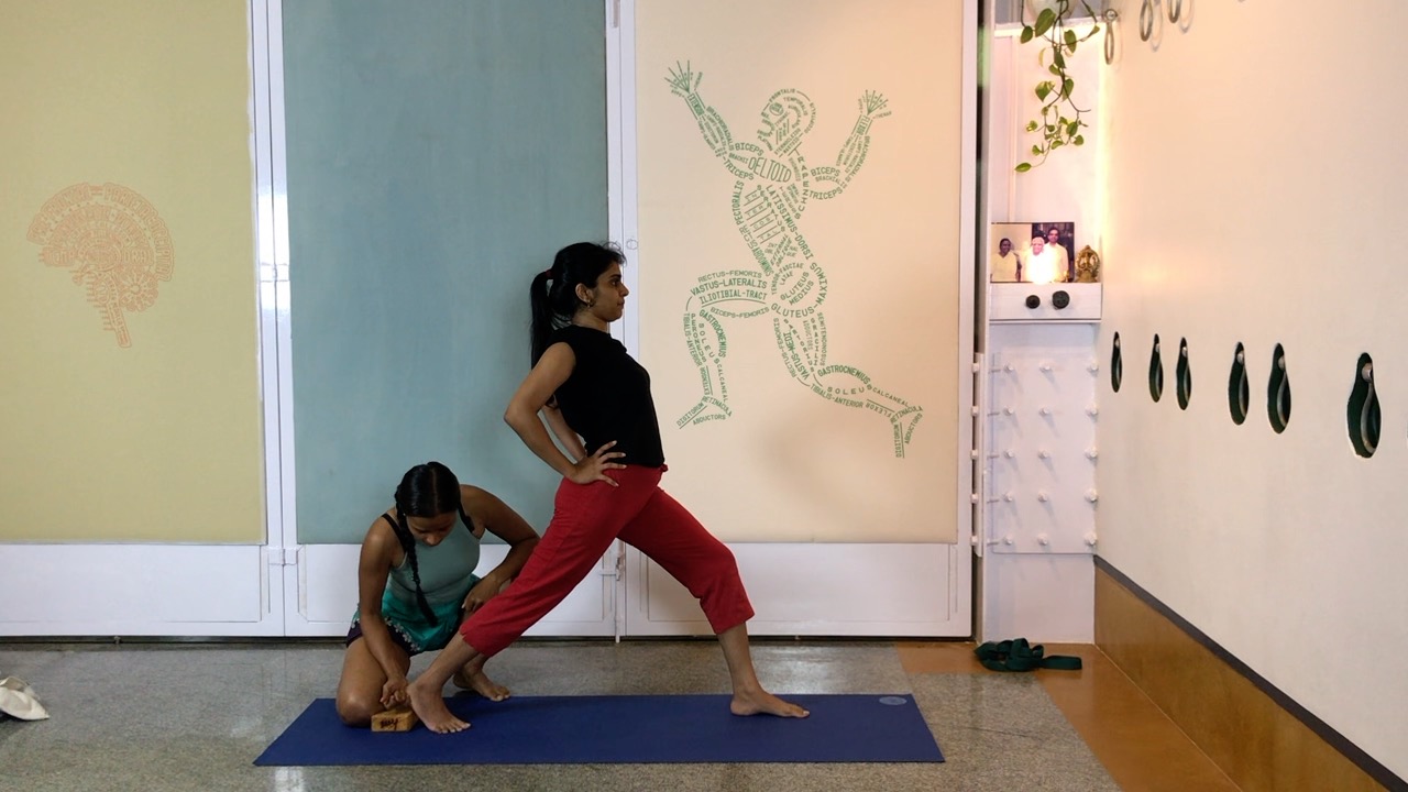 Finding the Internal Resistance in Arching Back - Image 6