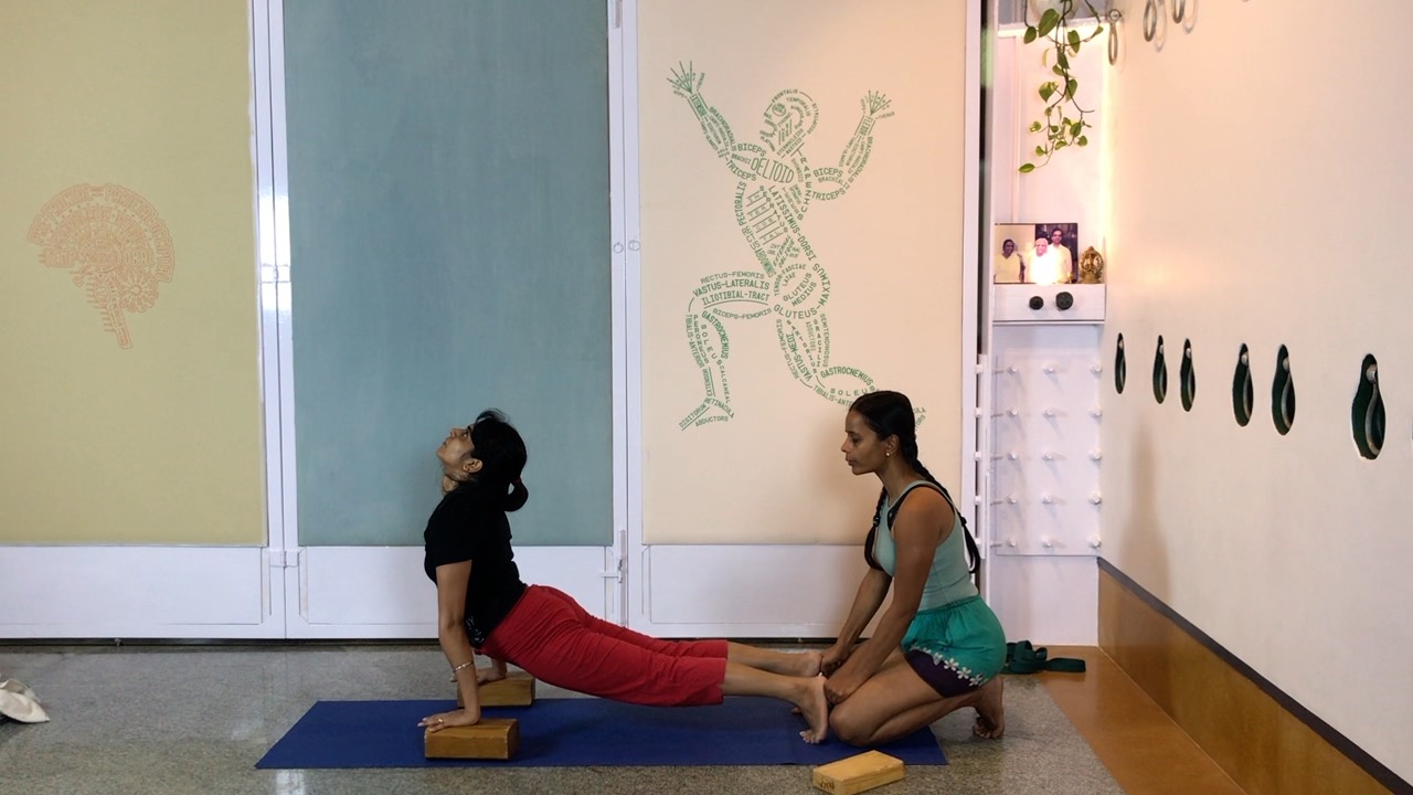 Finding the Internal Resistance in Arching Back - Image 7