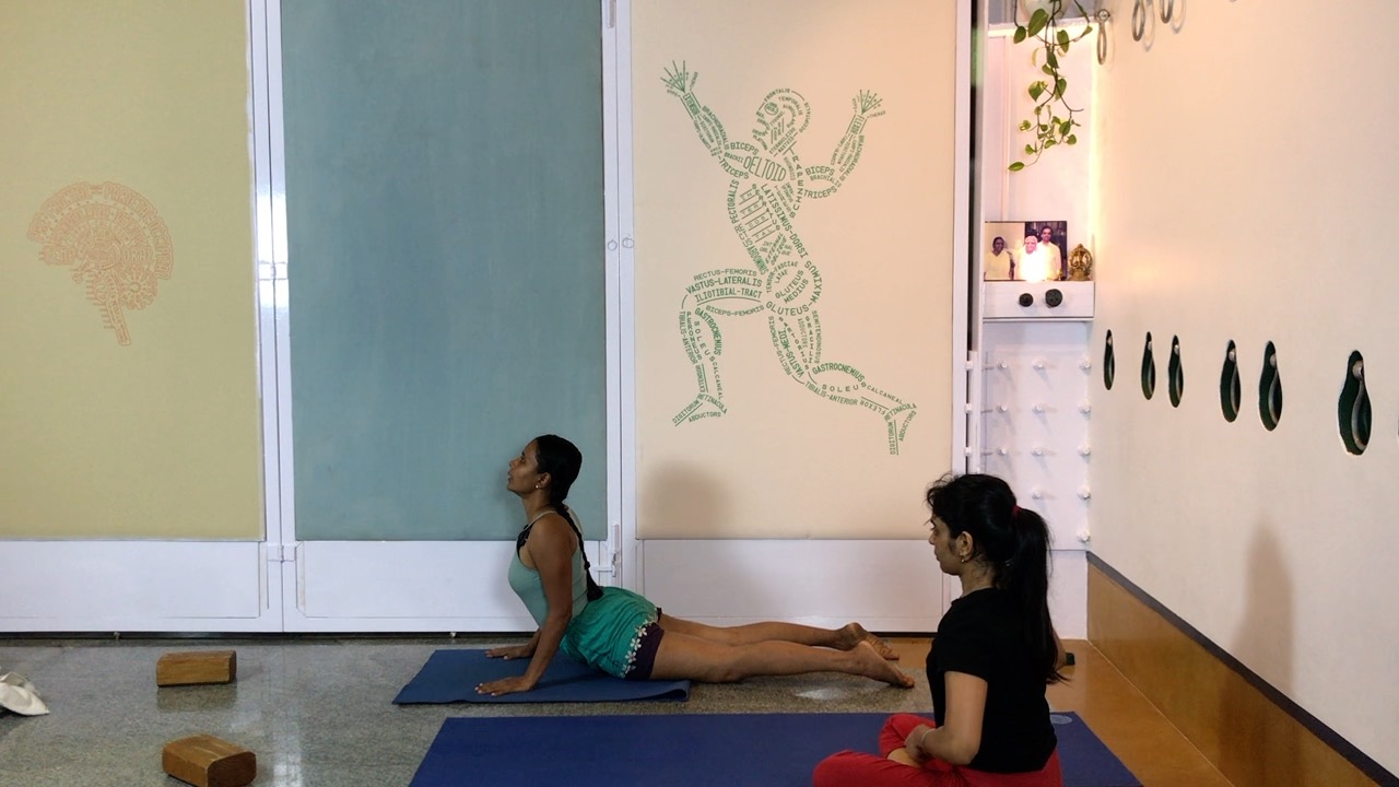 Finding the Internal Resistance in Arching Back - Image 8