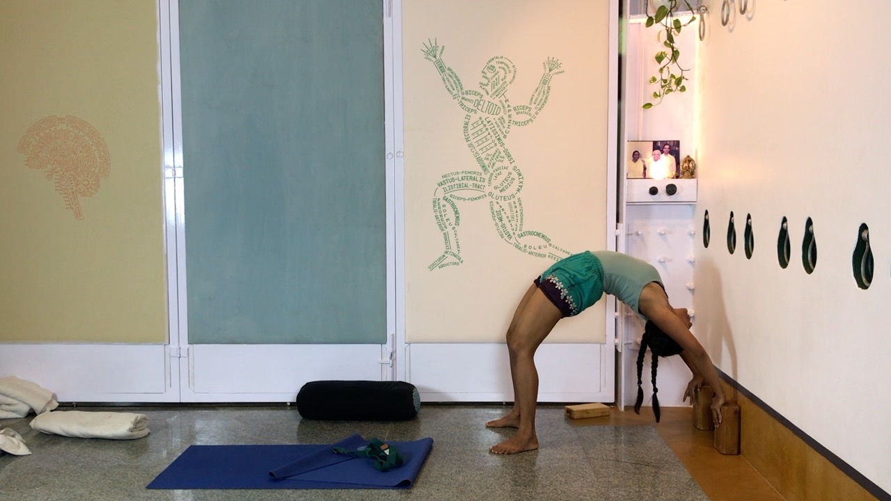 Finding the Internal Resistance in Arching Back - Image 10