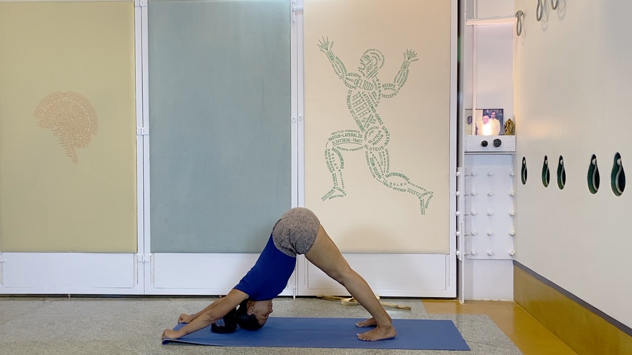 Positioning the Neck for Back Arches - Part 1 (Level Intermediate) - Salabhasana, Ustrasana, Adhomukha vrksasana - Image 3