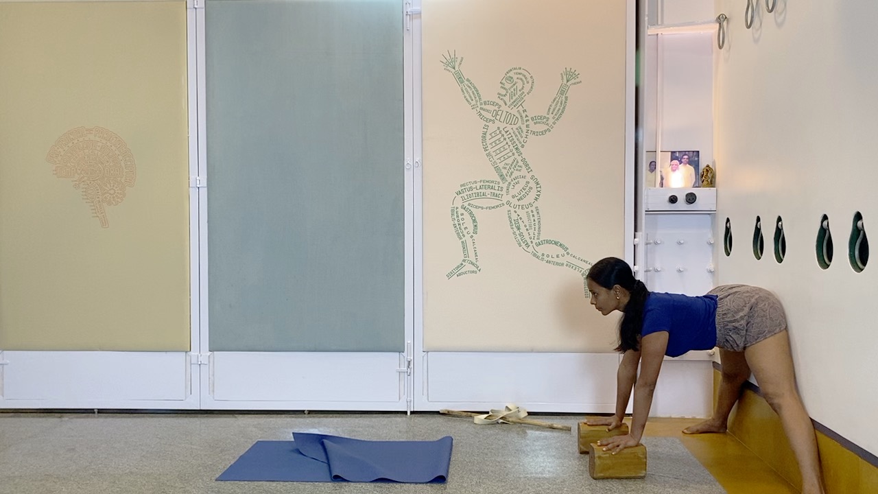 Positioning the Neck for Back Arches - Part 1 (Level Intermediate) - Salabhasana, Ustrasana, Adhomukha vrksasana - Image 8