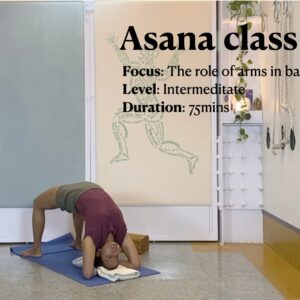 Role of Shoulders and Arms in Back Arches Leading to Viparita dandasana (level Intermediate)