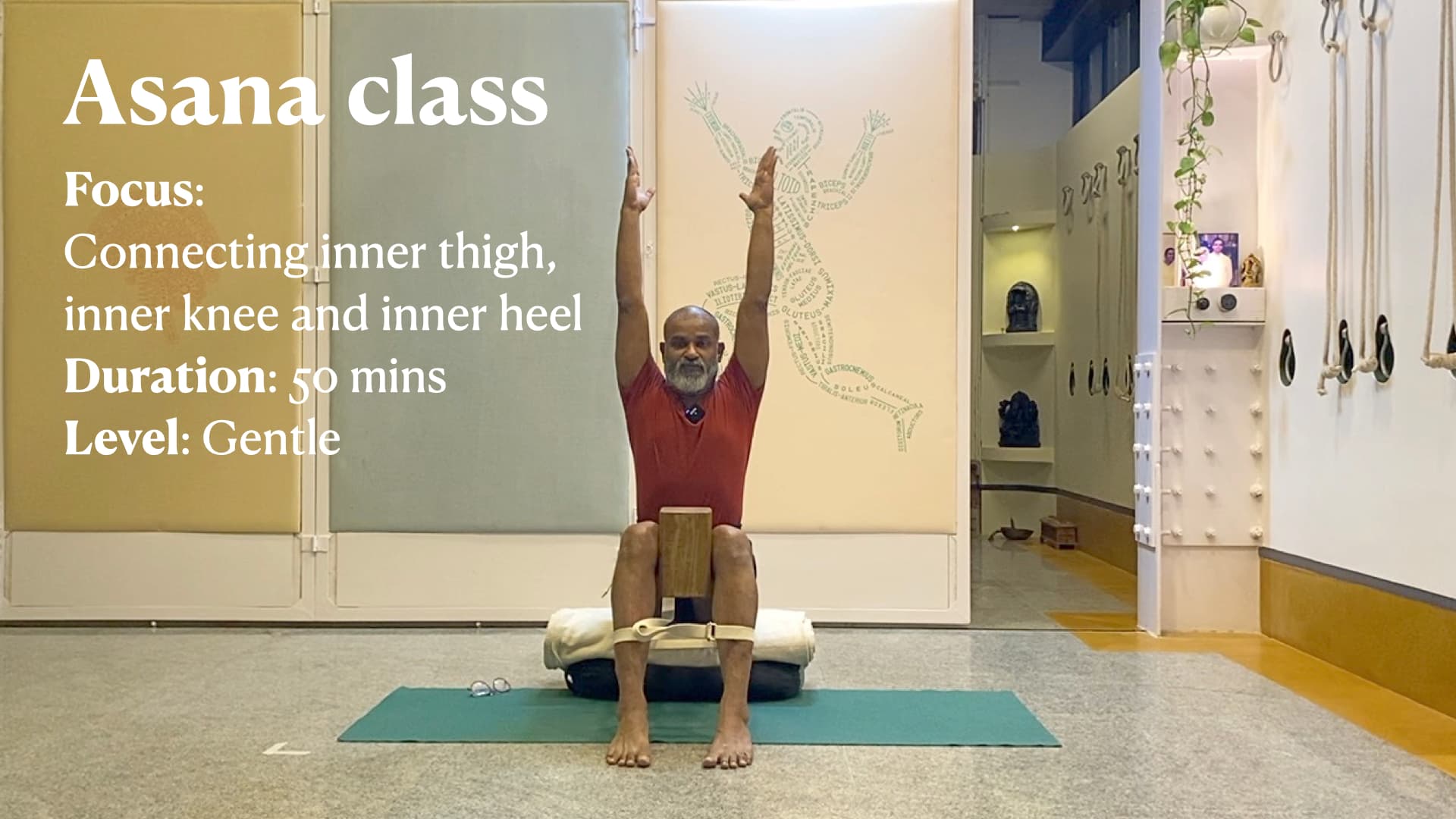 Aligning and Strengthening Legs in Seated Positions