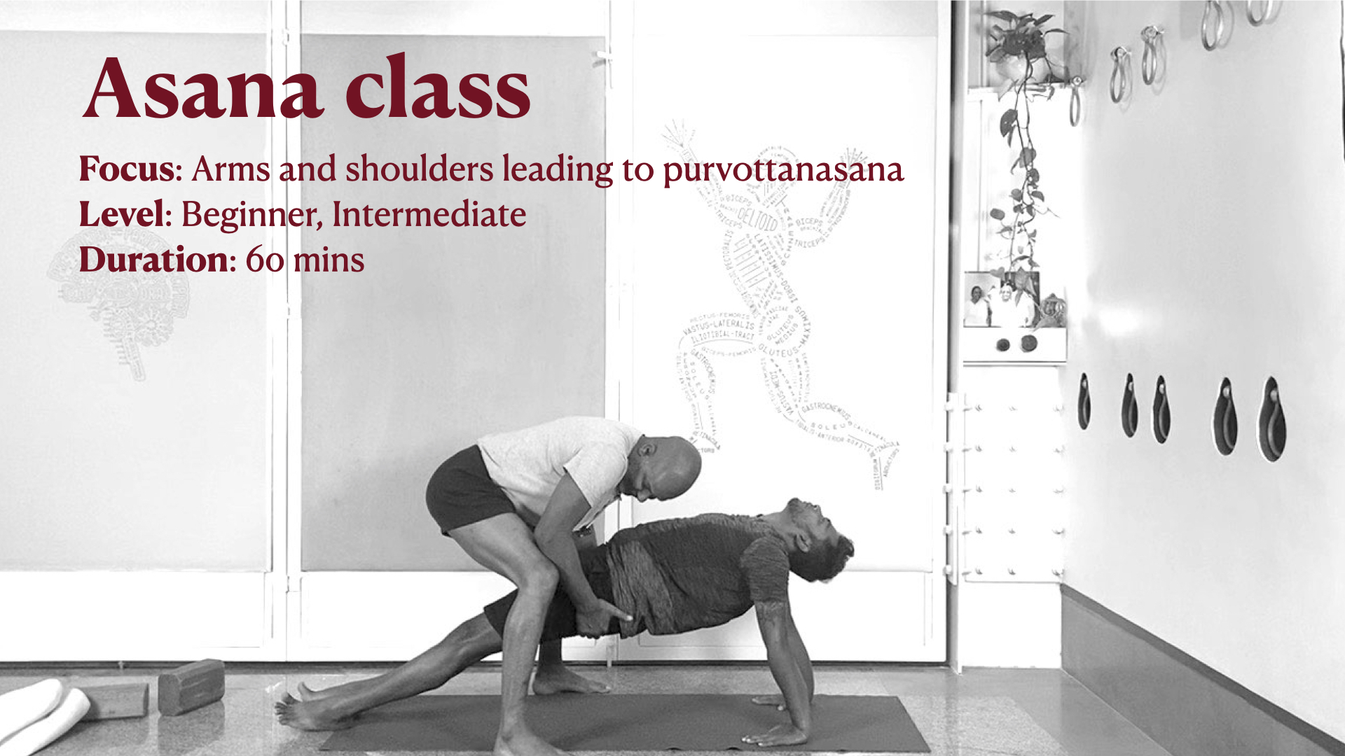 Beginners' Back Arches Practice Part 3: Urdhvamukhasvanasana, Chatuspadasana, Purvottanasana