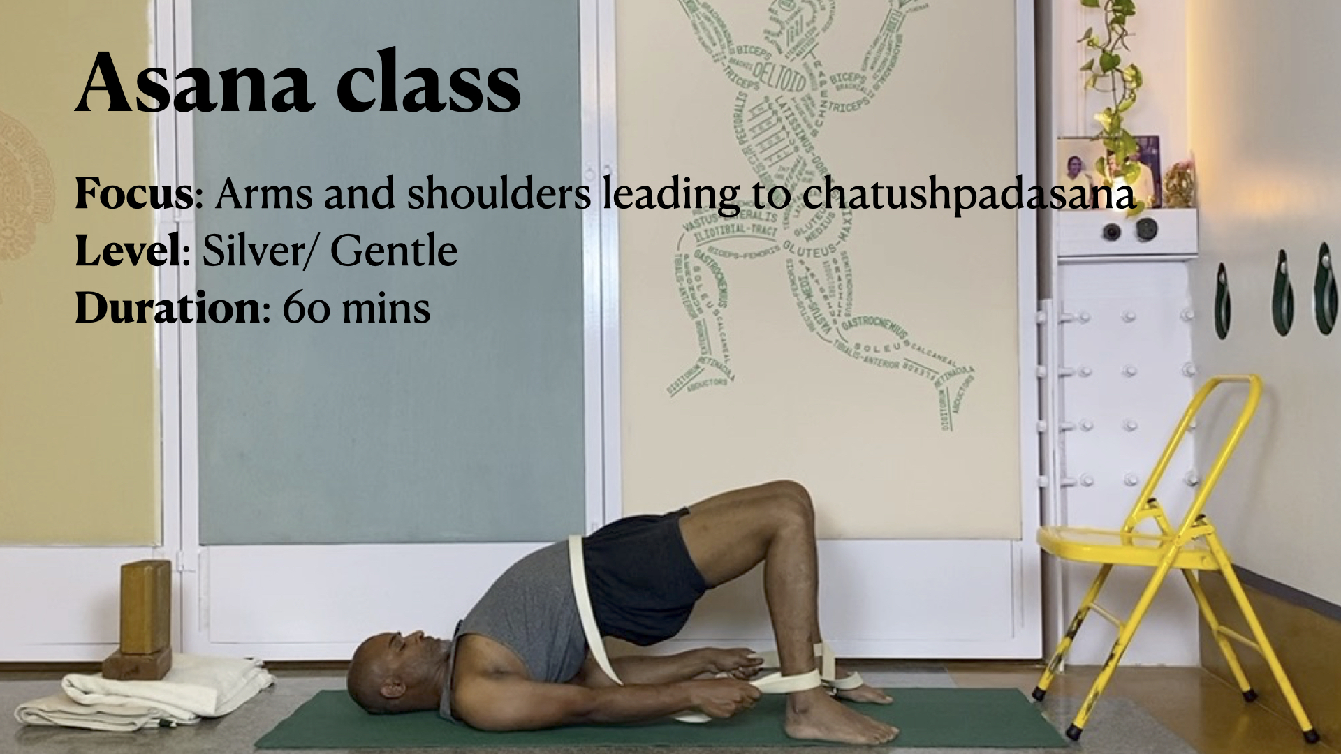 Gentle Exploration of Back Arches: Chatuspadasana