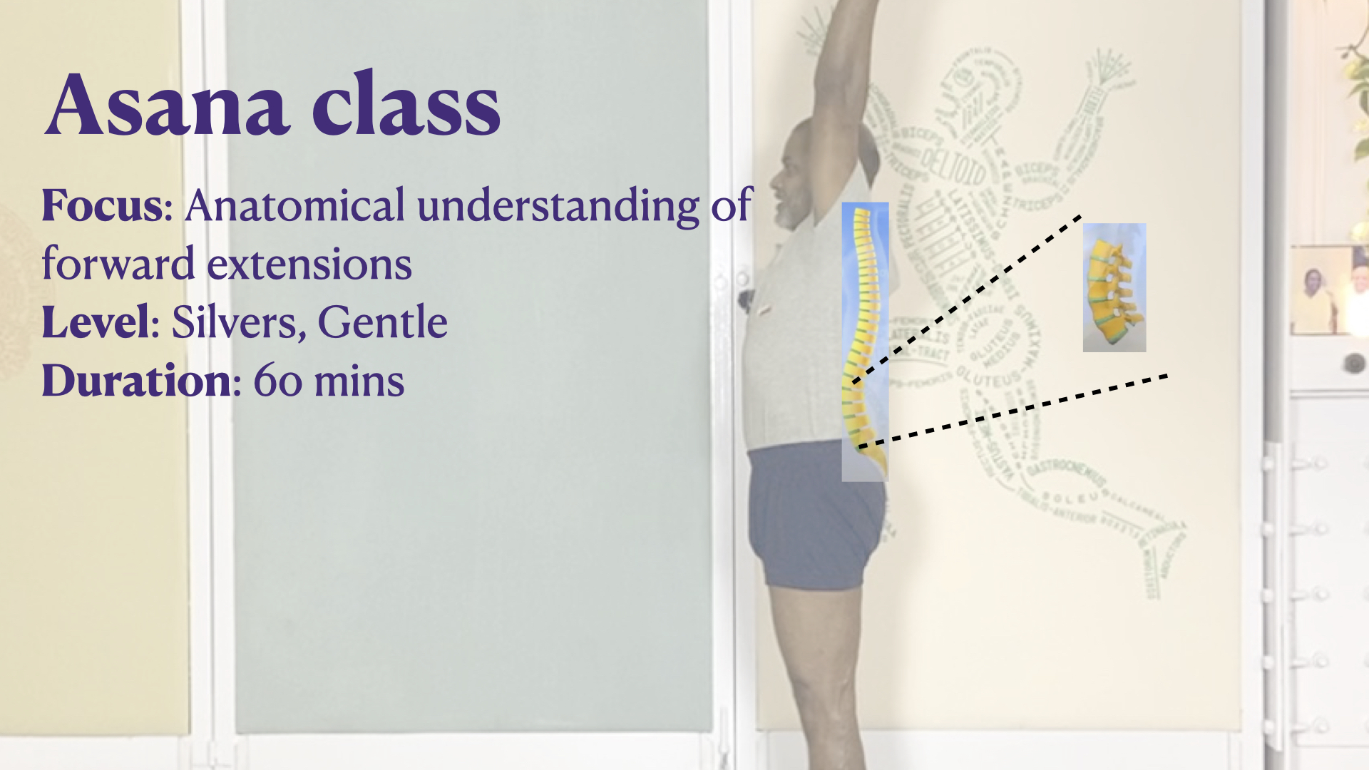 Anatomical Understanding of Lumbar Back in Forward Extensions Experienced through Simple Movements