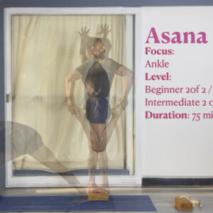 Increasing Mobility and Stability Challenge for the Ankles - Part1