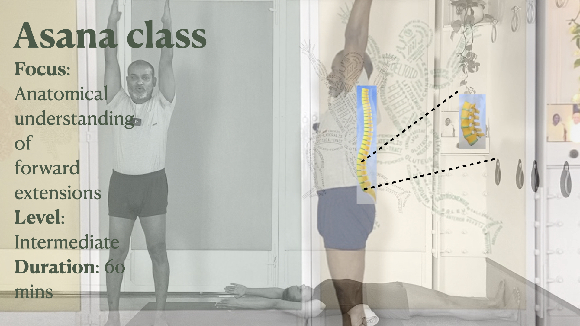 Anatomical Understanding of Lumbar Back in Forward Extensions, Experienced through Lateral Movements and Spinal Extensions