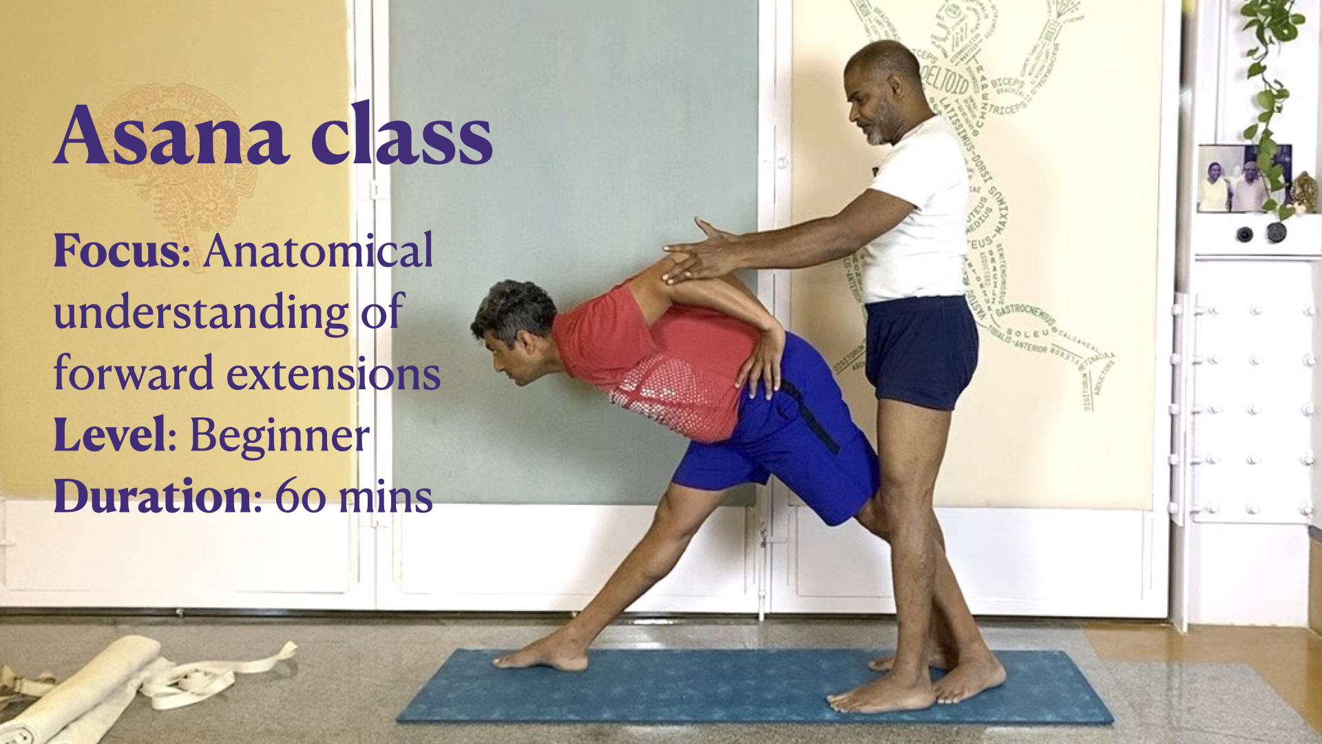 Anatomical Understanding of Lumbar Back for Forward Extensions at the Beginner Level