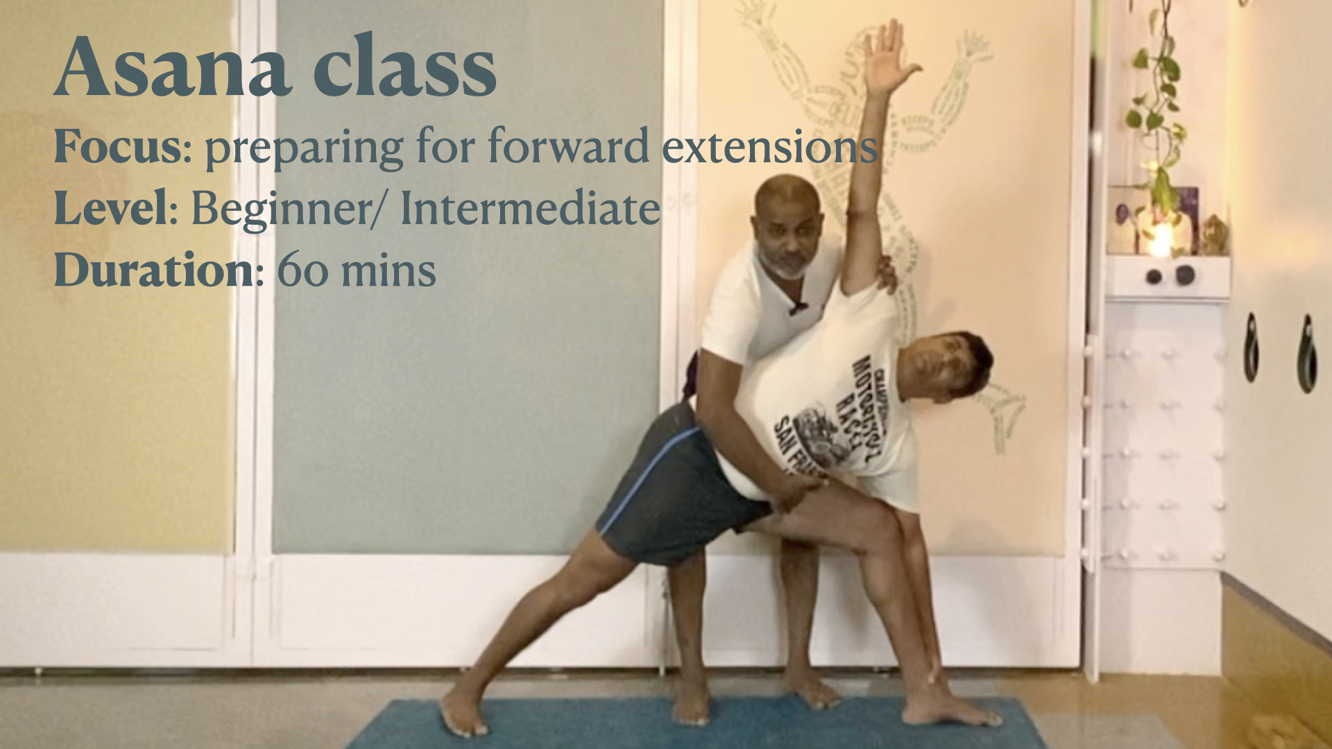 Principles of Forward Extensions in Standing Asanas